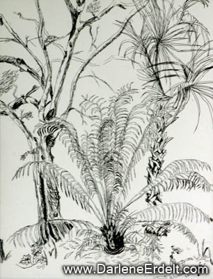 Palms and Oaks